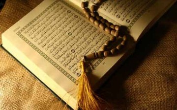 القرآن وقانون التنازع في البقاء