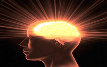 الدماغ وسيكولوجية الإدراك والتفكير