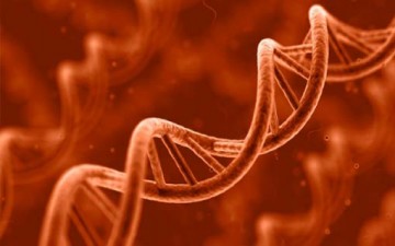 علم الوراثة وعلم الأخلاق البيولوجي