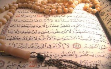 القلوب العاقلة في القرآن الكريم
